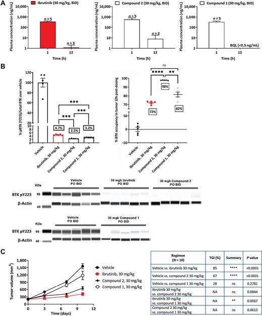 Figure 5. Hinge-only binders showed inferior efficacy in the REC-1 model compared with ibrutinib despite similar exposure and pharmacodynamic marker inhibition. REC-1 tumor–bearing mice were treated with compounds twice daily at 30 mg/kg for the indicated number of days. A, Plasma pharmacokinetics for hinge-only binders and ibrutinib were measured at 1 hour and 12 hours postdosing. Numbers of animals were as indicated on the graph. B, BTK pY223 levels were determined at 12 hours after the last dose in tumor tissues by Simple Western and from whole blood by MSD. P values were determined using one-way ANOVA with Tukey multiple comparisons test, comparing the three treatment groups. BTK occupancy was determined at 12 hours after the last dose in tumor tissues by MSD. P values were determined using one-way ANOVA with Tukey multiple comparisons test, comparing the three treatment groups. C, Hinge-only binders only partially inhibited tumor growth (28% and 67% TGI) in the REC-1 model, despite attaining 82% and 98% BTK occupancy at Ctrough (compound 1 and 2, respectively). Ibrutinib led to 85% TGI at 72% tumor trough occupancy. Each treatment group included 10 animals for the efficacy study and 5 animals for the BTK occupancy assay. P values for the differences in tumor volumes were calculated using two-way ANOVA, Tukey multiple comparisons test. P values for the differences in tumor volumes at end of study are shown in the table. Data are presented as mean ± SEM. Abbreviations: MSD, multi-array Meso Scale Discovery; TGI, tumor growth inhibition.