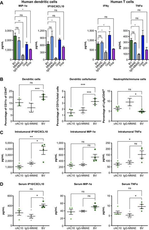 Figure 3. Proinflammatory chemokine and cytokine production in human dendritic and T cells and BV-induced ICD in L540cy xenografts. A, Chemokine and cytokine measurements by immunoassay (Luminex) following washing out of treatment agents. B, Recruitment of CD11c+ DCs compared with Ly6g+ cells into a L540cy xenograft 72 hours after administration of a single dose of BV, IgG-MMAE, or cAC10 (murine model; n = 5); levels of immune cells were determined by flow cytometry. C, Intratumoral murine cytokine activity in mice harboring L540cy xenografts 72 hours after administration of a single dose of BV, IgG-MMAE, or cAC10 (n = 5); cytokines were measured by immunoassay (Luminex). D, Upregulation of murine serum chemokines and cytokines in mice harboring L540cy xenografts 72 hours after administration of a single dose of BV, IgG-MMAE, or cAC10 (n = 5); cytokines were measured by immunoassay (Luminex). Representative data from two independent experiments, each symbol represents individual mice (n = 4–5 per group). *P < 0.05; **P < 0.01; ***P < 0.001, (one-way ANOVA followed by Dunnett's multiple comparisons test) compared with BV treatment. Bars represent the mean and SE. ANOVA, analysis of variance; BV, brentuximab vedotin; cAC10, chimeric anti-CD30 antibody; CCL2, chemokine (C-C motif) ligand 2; CXCL10, C-X-C motif chemokine ligand 10; Etop, etoposide; ICD, immunogenic cell death; IFN, interferon; IgG, immunoglobulin G; IP10, interferon gamma-induced protein 10; MIP-1α, macrophage inflammatory protein-1α; MMAE, monomethyl auristatin E; ns, not significant; NT, not treated; Oxal, oxaliplatin; SE, standard error; TNF, tumor necrosis factor.