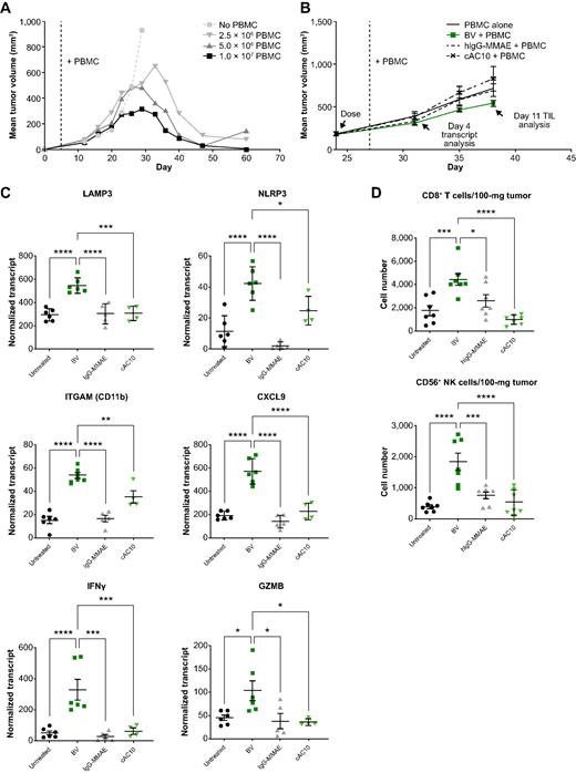 Figure 4. Brentuximab vedotin treatment of humanized mice bearing LCL tumors enhances intratumoral immune activation. NSG mice (n = 5) harboring CD30+ LCL tumors were injected intravenously with autologous donor PBMCs 5 days after tumor implantation. A, Tumor volume was measured over time in NSG mice (n = 5 per group) receiving no PBMCs and 2.5, 5, and 10 million PBMCs. B, Mice were treated with BV, cAC10, or a non-binding control (human IgG-MMAE) 3 days before receiving a total of 2.0 × 106 PBMCs (n = 10 per group). Tumors were collected for analysis of immune activity 4 and 11 days after transfer of PBMCs (n = 5 per time-point). C, Immune-related transcripts (NanoString) were measured 4 days following PBMC transfer in NSG mice treated with BV, cAC10, or a non-binding control (IgG-MMAE) 3 days before PBMC transfer. D, Tumors taken 11 days after PBMC transfer in NSG mice treated with BV or a non-binding control (IgG-MMAE) 3 days before PBMC transfer were processed and evaluated by flow cytometry for immune cell infiltration. Each symbol represents NanoString analysis or flow cytometry of immune cells from individual mice (n = 4–7 per group). *P < 0.05; **P < 0.01; ***P < 0.001; ****P < 0.0001 (one-way ANOVA followed by Dunnett's multiple comparisons test) compared with BV treatment. Bars represent the mean and SE. ANOVA, analysis of variance; BV, brentuximab vedotin; cAC10, chimeric anti-CD30 antibody; CXCL9, C-X-C motif chemokine ligand 9; GZMB, granzyme B; IFNγ, interferon gamma; hIgG, human immunoglobulin G; IgG, immunoglobin G; ITGAM, integrin alpha M; LAMP3, lysosomal-associated membrane glycoprotein 3; LCL, lymphoblastoid cell line; MMAE, monomethyl auristatin E; NK, natural killer, NLRP3, nucleotide-binding domain, leucine-rich–containing family pyrin domain–containing-3; NOD, nonobese diabetic; NSG, NOD SCID gamma; PBMC, peripheral blood mononuclear cells; SCID, severe combined immune deficient; SE, standard error; TIL, tumor-infiltrating lymphocyte; TNF, tumor necrosis factor.