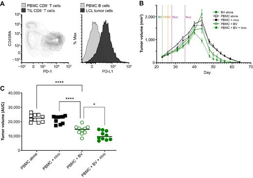 Figure 6. Protective immunity from brentuximab vedotin- or MMAE-mediated immunization is enhanced by anti–PD-1 treatment. A, Representative expression of PD-1 and PD-L1 on T cells and LCL tumor cells, respectively, on day 35 by flow cytometry in the autologous PBMC/LCL tumor model. Staining demonstrates the presence of an active PD-1/PD-L1 axis between T cells and LCL tumor cells. B, LCL tumor volumes were analyzed for treatment conditions relative to mice that received only PBMCs. Tumor-bearing mice that received PBMCs and a subtherapeutic dose of BV (1 mg/kg, i.p.) with or without anti–PD-1 antibody (10 mg/kg, i.p. 2 and 7 days after PBMCs), showed enhanced immune-mediated tumor regression. C, Tumor volumes (AUC). Error bars indicate SEM. *P < 0.05; ****P < 0.001 (one-way ANOVA followed by Dunnett's multiple comparisons test). ANOVA, analysis of variance; AUC, area under the curve; BV, brentuximab vedotin; IgG, immunoglobulin G; i.p., intraperitoneal injection; LCL, lymphoblastoid cell line; nivo, nivolumab; NT, not treated; PBMC, peripheral blood mononuclear cells; PD-1, programmed cell death protein 1; PD-L1, programmed death-ligand 1; SEM, standard error of the mean; TIL, tumor-infiltrating lymphocyte.
