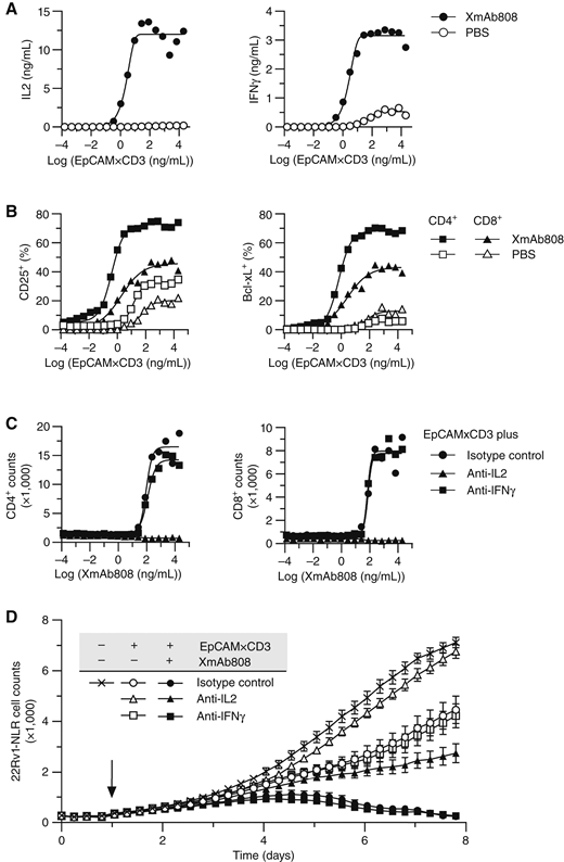 A B7-H3–Targeted CD28 Bispecific Antibody Enhances the Activity of Anti ...
