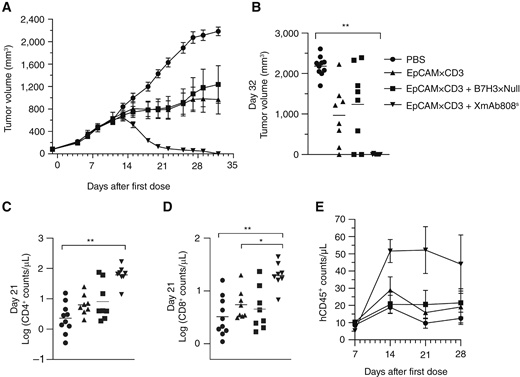 A B7-H3–Targeted CD28 Bispecific Antibody Enhances the Activity of Anti ...