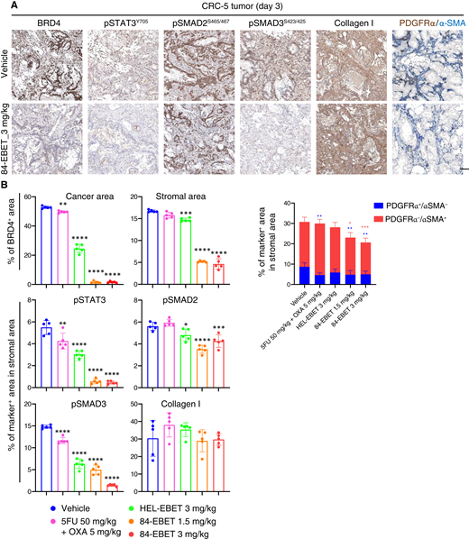 84-EBET modulates CAFs via a bystander effect in a stroma-rich CRC-PDX model. A, IHC staining for BRD4, pSTAT3, pSMAD2, pSMAD3, collagen I, PDGFRα, and α-SMA in CRC-5 tumors 3 days after treatment with 84-EBET. Scale bar, 100 μm. B, Quantitation of BRD4, pSTAT3, pSMAD2, pSMAD3, collagen I, PDGFRα, and α-SMA staining. Data are presented as mean ± SD (n = 5 mice). Cancer cells and stromal cells were distinguished by nuclear shape by using the HALO system (Indica Labs). The percentage BRD4+ area was calculated separately for cancer cells and stromal cells. The percentage pSTAT3+, pSMAD2+, pSMAD3+, collagen I+, PDGFRα+, and α-SMA+ stromal areas were calculated as a proportion of the total stromal area. *, P < 0.05; **, P < 0.01; ***, P < 0.001; ****, P < 0.0001, one-way ANOVA test followed by the Dunnett test between vehicle-treated and drug-treated groups.