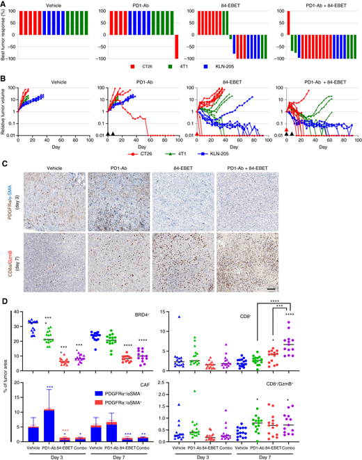 84-EBET has a combined effect with PD1-Ab in mouse syngeneic CRC, LC, and BC models. A, Waterfall plots showing the best tumor response after treatment with PD1-Ab (200 μg/head), 84-EBET (1.5 mg/kg for CT26 and KLN-205, 3 mg/kg for 4T1), or both in CT26, 4T1, and KLN-205 tumor models with human CEACAM6 expression. Tumor volume changes from the baseline are shown (n = 5 mice). In the CT26 tumor model, the groups for 84-EBET and PD1-Ab + 84-EBET were tested with n = 10 mice. B, Spider plots in mouse tumor models of A. Black and red arrowheads indicate times of PD1-Ab and 84-EBET administration, respectively. C, IHC staining for PDGFRα 3 days after treatment and for α-SMA or CD8 and granzyme B (GzmB) 7 days after treatment in CT26/human CEACAM6 tumors. Scale bar, 100 μm. D, Quantification of BRD4, PDGFRα, αSMA, CD8, and GzmB staining in CT26/human CEACAM6 tumors on days 3 and 7 after the treatments indicated on the x-axis. Data are presented as mean ± SD (n = 15 mice). Tumor samples were basically taken from 15 mice, but the following tumors could not be collected owing to substantial tumor shrinkage caused by the 84-EBET: one combo on day 3, one 84-EBET on day 7, and two combos on day 7. *, P < 0.05; **, P < 0.01; ***, P < 0.001; ****, P < 0.0001, one-way ANOVA test followed by the Dunnett test between vehicle-treated and drug-treated groups. Combo, combination.