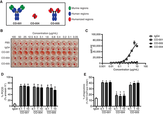 Development of the CO-005 drug candidate with an improved RBC safety profile. A, Cartoon representation of the structure of the CO candidates CO-001, CO-004, and CO-005. B, Incubation of freshly isolated RBCs (2% v/v in PBS) with increasing concentrations of CO-001, CO-004, CO-005, or human IgG4 isotype control. A small punctate circle indicates no hemagglutination, whereas a diffuse hazy pattern indicates hemagglutination. C, Binding of CO-001, CO-005, CO-004, and human IgG4 isotype control to RBCs derived from a healthy human donor. D, Jurkat cells (5 × 105 cells/mL) were treated with CO-001, CO-004, or CO-005 at the indicated concentrations in μg/mL or human IgG4 isotype control (1 μg/mL) for 3 hours, followed by annexin V and 7-AAD staining. E, Phagocytosis activity of CO-001 fusion proteins in Jurkat cells using DiO-labeled RAW264.7 macrophages at the indicated concentrations for 2 hours. Phagocytosed target cells were analyzed by flow cytometry as %CellTrace+DiO+ cells. D and E, Data are presented as the mean ± SD. Significance was determined by ANOVA analysis *, P < 0.01 relative to isotype control, §, P < 0.01, relative to the sample treated with CO-001 at the same concentration, n = 3 to 5. MFI, mean fluorescence intensity.