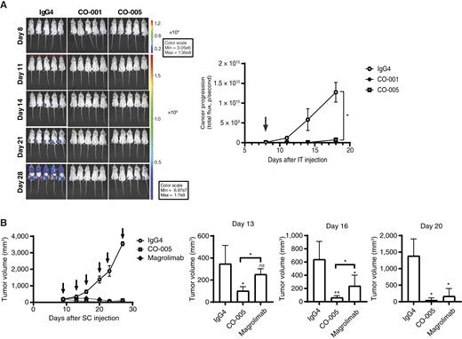 CO-005 exhibits potent anticancer activity in BCP-ALL and lymphoma xenograft models as a single agent. A, Lentivirally transduced Reh cells (2 × 105 cells per animal) expressing firefly luciferase and enhanced GFP were injected into NSG mice. BCP-ALL progression was followed by detection of luminescence signals using noninvasive in vivo imaging, starting at day 8 after intra-tibial (IT) injection. Treatment was initiated after imaging and mice received a single intraperitoneal injection of 1 mg/kg of CO-001, CO-005, or IgG4 isotype control as indicated in the figure (left). Cancer progression was monitored by measuring xenograft luciferase activity as total flux [photons per second (p/s)]. Data represent the mean ± SD, *, P < 0.01 (Mann–Whitney U test), n = 5 mice per treatment group. Treatment with CO-001, CO-005, or IgG4 isotype control indicated by an arrow in the figure (right). B, Raji B cell lymphoma cells (1.5 × 106 cells per animal) were injected subcutaneously (SC) into the right flank of female NSG mice. When the tumor size reached a volume of 100 mm3 on average, the mice were randomized and injected with 5 mg/kg CO-005, magrolimab, or IgG4 isotype control twice a week for three consecutive weeks (indicated by arrows in the figure). Tumor progression was monitored by caliper measurements. Data represent the mean ± SD, (Mann–Whitney U test) and n = 6 animals per treatment group.