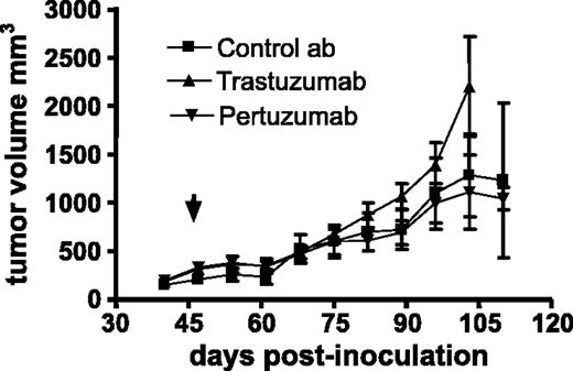 Figure 7. Growth curves of JIMT-1 xenograft tumors in trastuzumab-treated (n = 7), pertuzumab (2C4)-treated (n = 7), and control (rituximab-treated; n = 7) mice. Arrowhead, beginning of the antibody treatment i.p.