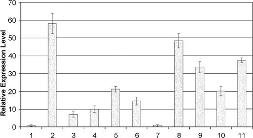 Figure 1. Real-time PCR analysis of Plk1 mRNA levels in pancreatic cancer cell lines versus immortalized normal pancreatic epithelial ductal cells. Each sample is normalized to its corresponding β-actin signal, which was run in a separate tube from Plk1. Samples were prepared from a master mix containing the appropriate cDNA derived from a RT reaction (see Materials and Methods). Primers for Plk1 or β-actin were added separately so as to ensure no variation in the amount of cDNA present in each tube. Cell line HPDE6c7 was arbitrarily assigned an expression level of 1 so as to measure relative expression ratios present in each sample. Sample 1, normal pancreatic ductal cells HPDE6c7; Sample 2, MiaPaCa-2; Sample 3, Panc-1; Sample 4, Capan-1; Sample 5, Capan-2; Sample 6, Su.86.86; Sample 7, Mutj; Sample 8, AsPc-1; Sample 9, HS766T; Sample 10, CFPAC; Sample 11, BxPC-3. Each sample was run in triplicate.