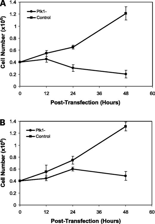 Figure 6. Cell proliferation data obtained from Plk1 antisense-treated cells MiaPaCa-2 (A) and Panc-1 (B) cells. Cell proliferation rates were determined by cell counting at the time points indicated. Each time point was measured in triplicate.