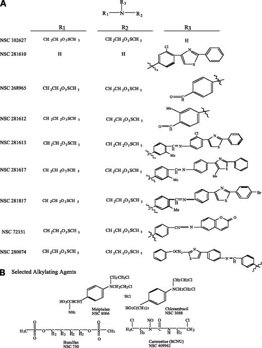 Figure 1. A, structures of DMS and related compounds. Five compounds were identified to have potential renal selective activity (NSC 72151, NSC 268965, NSC 280074, NSC 281613, and NSC 281817). Two other compounds are included because of their structural similarity to the renal selective compounds (NSC 281612 and NSC 281617). The DMS alone is NSC 102627. B, structures of standard alkylating agents. These are the structures of agents in current clinical use and discussed in this report.
