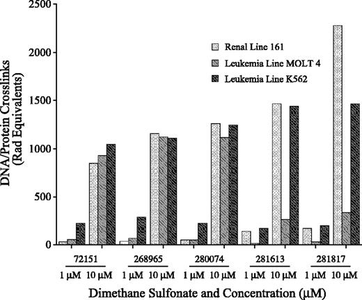 Figure 6. Effect of DMS analogues on DPC formation. RCC line 161 and leukemia lines MOLT4 and K562 were exposed to DMS compounds for 6 hours following labeling with 14C-thymidine. Lysates were prepared and evaluated for DNA fragmentation. DPCs were induced by all DMS analogues in the RCC line 161 and the leukemia line K562. Three of five DMS analogues induced cross-links in leukemia line MOLT4.