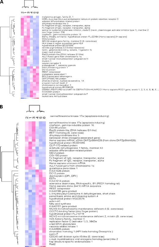 Figure 2. A, 2-fold expression changes at t = 2, sensitive versus resistant (see Table 3A). Carboplatin sensitive and carboplatin resistant as determined by ChemoFx assay. Numbers refer to patient ID as in Table 1. Red and blue boxes indicate up-regulation and down-regulation, respectively. B, 2-fold expression changes at t = 72, sensitive versus resistant (see Table 3B). Carboplatin sensitive and carboplatin resistant as determined by ChemoFx assay. Numbers refer to patient ID as in Table 1. Red and blue boxes indicate up-regulation and down-regulation, respectively.