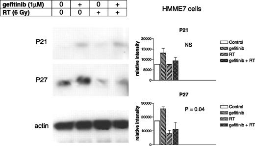 Figure 6. Gefitinib-induced modulation of the proliferation-related proteins p21 and p27 24 h after radiation therapy application on HMME7 cells. Western blots are a representative example of one of three experiments. Columns, mean of three experiments; bars, SE.