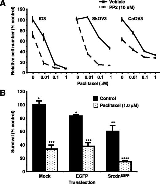 Figure 1. Cytotoxicity of mouse (ID8) and human (SkOV3 and CaOV3) ovarian cancer cell lines in response to paclitaxel and Src inhibition. Cells were treated for 48 h (A) with the indicated concentration of paclitaxel with or without the Src inhibitor PP2 (10 μmol/L). Alternatively, ID8 mouse ovarian cancer cells were transfected as indicated and 24 h later (B) exposed to 1 μmol/L paclitaxel for 24 h. At the end of the treatment periods, relative cell number was determined either by 3-(4,5-dimethylthiazol-2-yl)-2,5-diphenyltetrazolium bromide assay (A) or by trypan blue exclusion and direct cell counts (B). Bars with different numbers of asterisks are significantly different (P < 0.05). Experiments were repeated at least thrice to insure consistency of results.