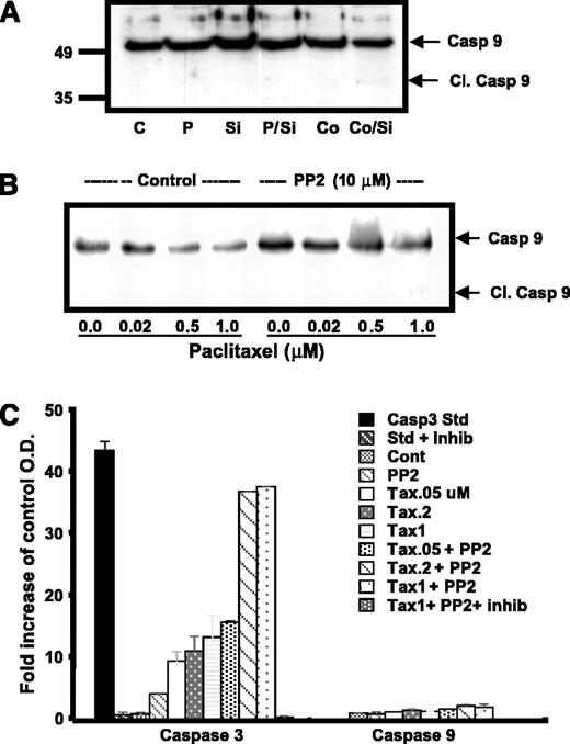 Figure 4. Caspase-9 is not processed or activated in response to combination treatment. A, ID8 mouse ovarian cancer cells were treated overnight with paclitaxel (P, 0.2 μmol/L), colchicine (Co, 10 μmol/L), the Src inhibitor PP2 (Si, 10 μmol/L), or the indicated combinations. B, a dose-response to paclitaxel was done with or without PP2 (10 μmol/L) for 24 h. Caspase-9 processing was determined by immunoblot analysis with an antibody that detects both procaspase-9 and cleaved/processed caspase-9.C, caspase-3 and caspase-9 activation was determined in cell lysates by in vitro caspase activity assays.