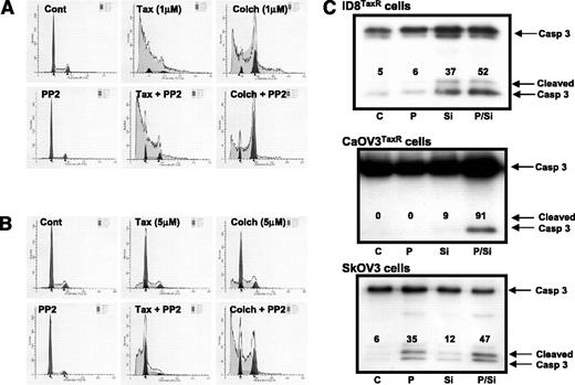 Figure 7. Src inhibition results in cell cycle arrest, apoptosis, and processing of procaspase-3 in paclitaxel-resistant cells treated with paclitaxel. ID8 cells (A) or ID8TaxR cells (B) were treated with paclitaxel (1 and 5 μmol/L for ID8 and ID8TaxR cells, respectively), colchicine (1 and 5 μmol/L for ID8 and ID8TaxR cells, respectively), PP2 (10 μmol/L) or both paclitaxel and PP2 or colchicine and PP2 for 24 h. Cells were harvested and cell cycle analysis done by flow cytometry (A, B). Shaded areas, sub-G2 and G1 phase apoptotic DNA. In separate experiments, mouse ID8TaxR, human CaOV3TaxR, and SkOV3 ovarian cancer cells were treated with paclitaxel (P, 2 μmol/L for ID8TaxR and CaOV3TaxR cells and 200 nmol/L for SkOV3 cells), Src inhibitor (Si, 10 μmol/L) or both for 24 h. At the end of the treatment period, cells were lysed and caspase-3 protein determined by immunoblot analysis. Numbers above bands indicate relative densitometric values (C).