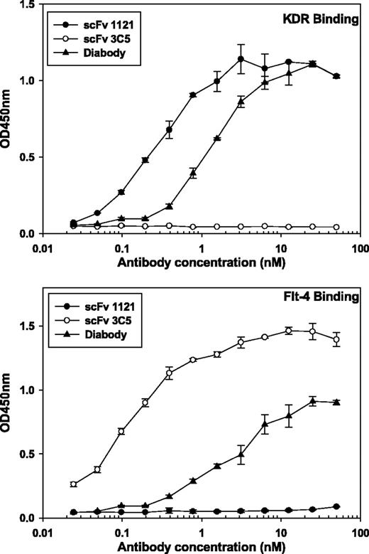 Figure 2. Antigen-binding efficiency of the scFv and the diabody to their respective targets, KDR, and Flt-4. Various amounts of scFv or diabody were added to 96-well plates coated with KDR or Flt-4 (1.0 μg/mL) and incubated at room temperature for 1 h, after which the plates were incubated with a mouse anti-E tag antibody-horseradish peroxidase conjugate for an additional 1 h. The plates were washed, peroxidase substrate was added, and OD450 nm was read. Points, mean; bars, ±SD.