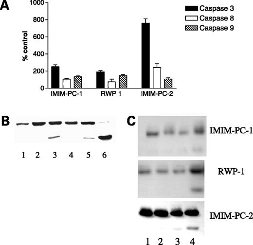 Figure 2. A, TSA (1 μmol/L) effect on caspase -3, -8, and -9 activities in IMIM-PC-1, IMIM-PC-2, and RWP-1 pancreatic cancer cell lines. Caspase activities were determined by specific colorimetric assays. Normalized to control untreated cells. B, TSA (1 μmol/L) effect on PARP-1 cleavage in L1210 and L1210R murine leukemia cell lines determined by Western blot. Lanes 1–3, L1210 control cells and cells treated with TSA for 6 or 24 h, respectively. Lanes 4–6, L1210R cells control and treated with TSA for 6 or 24 h, respectively. C, TSA (1 μmol/L) effect on PARP-1 cleavage in IMIM-PC-1, IMIM-PC-2, and RWP-1 pancreatic cancer cell lines determined by Western blot. Lanes 1–4, control cells and cells treated with TSA for 3, 6, and 24 h, respectively.