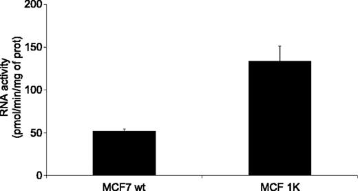 Figure 2. Ribonucleotide reductase activity in gemcitabine-sensitive (wt) and gemcitabine-resistant (1K) MCF7 cells. Columns, mean of three independent experiments. P < 0.01 (Student's t test).