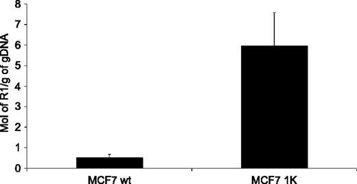 Figure 3. Quantification by quantitative PCR of ribonucleotide reductase R1 gene copies in genomic DNA in gemcitabine-sensitive (wt) and gemcitabine-resistant (1K) MCF7 cells. Columns, mean of three independent experiments. P < 0.01 (Student's t test).