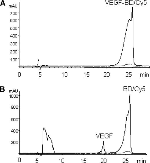 Figure 2. VEGF-BD/Cy5 conjugate releases VEGF under reducing conditions. A, VEGF-BD/Cy5 was analyzed by reverse-phase high-performance liquid chromatography on Vydac Protein C4 (214TP54) column (250 × 4.6 mm) with an elution rate of 0.75 mL/min with 0.1% aqueous trifluoroacetic acid/acetonitrile gradient (5–95% over 30 min) and detection at 216 nm (solid line) and 600 nm (dashed line). B, VEGF-BD/Cy5 was treated with 10 mmol/L DTT at 95°C for 1 min before reverse-phase high-performance liquid chromatography analysis. Molar VEGF to BD/Cy5 ratio was calculated as the ratio of the integral intensity of the peaks corresponding to VEGF and BD/Cy5. Note that absorption at 600 nm corresponding to Cy5 overlaps with the BD/Cy5 peak after DTT treatment. The peak between 5 and 8 min is of systemic origin.