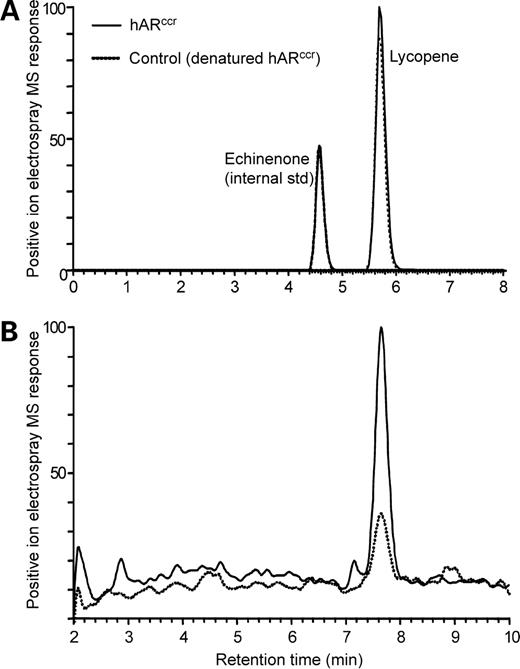 Absorption and subcellular localization of lycopene in human prostate