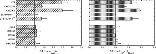 Figure 3. Summary of altered radiation susceptibility by ANI in the 10 cell lines used in this study. Exponentially growing cells were exposed to γ-rays without (1% DMSO) or with ANI (30 μmol/L, 1% DMSO), and cell survival was determined from the cell (IMR-90, PARP-1+/+ 3T3, and PARP-1−/− 3T3) or colony count (all other cell lines). ANI was introduced 30 min before irradiation and was present for 1 h. The survival curves were drawn for best fit to either Eq. B or Eq. C (see Materials and Methods), and the sensitizer enhancement ratio (SER) was calculated as the ratio of the initial slopes (α) of survival curves (left) or of the D37 values (right). Bars, SD.