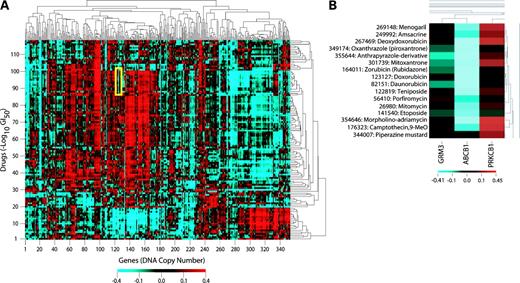 Figure 2. Clustered image map showing the Pearson's correlation of DNA copy number with drug sensitivity across the NCI-60 cell lines. A, clustered image map showing the correlation for 353 genes and the −log(GI50) of 118 “mechanism of action” drugs. The negative correlation of DNA copy number for ABCB1 (MDR1) and substrates of P-glycoprotein is highlighted in yellow and enlarged in B. Red and blue indicate high and low correlations, respectively. Cluster trees of both axes with labels can be viewed in Supplementary Figs. S3 and S4 (available at http://mct.aacrjournals.org).