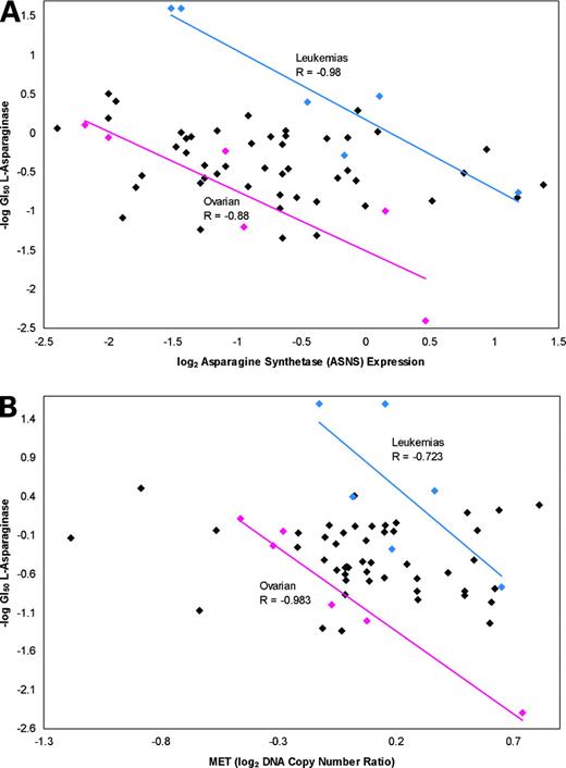 Figure 3. Relationship of l-asparaginase activity to asparagine synthetase (ASNS) expression level and DNA copy number in the NCI-60 cell lines. A, l-asparaginase activity [from data in Scherf et al. (12)] versus asparagine synthetase expression level. These data generated the hypothesis that a subset of ovarian cancers might respond to l-asparaginase. B, l-asparaginase activity versus DNA copy number for a clone (MET) near asparagine synthetase on chromosome 7. Blue, pink, and gray data points are from leukemic, ovarian, and other cancer cell types, respectively. The blue and pink lines represent linear least-squares fits. CIs for the correlation coefficient estimates are given in Results.