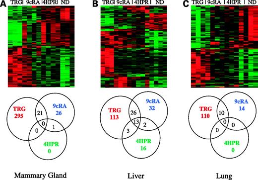 Figure 1. Expression profiles of retinoids/rexinoids in normal rat tissues. A, mammary gland; B, liver; C, lung (cutoff: fold, ±2.0, P ≤ 0.05; mean expression, ≥150). Numbers in red, transcripts modulated specifically by targretin. Numbers in blue, transcripts modulated specifically by 9cRA. Numbers in green, transcripts modulated specifically by 4HPR. Numbers in black, transcripts which were modulated by more than one agent. ND, normal diet.