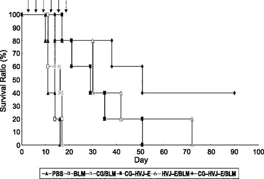 Figure 5. Survival of tumor-bearing mice. Two days after i.p. injection of CT-26 cells, CG or CG-HVJ-E containing bleomycin (BLM) was i.p. injected six times every third day. An empty vector without bleomycin, bleomycin alone, or PBS were also i.p. injected in a similar manner. The survival of tumor-bearing mice was monitored. Arrows indicate the timing of i.p. injection (on days 2, 5, 8, 11, 14, and 17) after tumor inoculation.