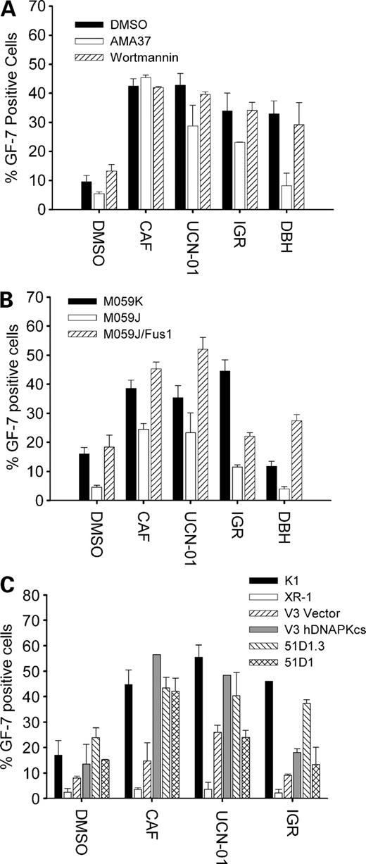 Figure 1. Effect of G2 checkpoint inhibitors on cells lacking DNA-PK or NHEJ activity. A, MCF-7 mp53 cells were exposed to DMSO, 20 μmol/L AMA37, or 200 nmol/L wortmannin 30 min before irradiation with 6.5 Gy. Sixteen hours later, when arrested in G2, cells were exposed to checkpoint inhibitors plus nocodazole for 8 h and harvested as described in Materials and Methods. GF-7-positive cells represent those trapped in mitosis. B, MO59 cells were irradiated and treated as in A. C, CHO cells were irradiated with 6.5 Gy. Eight hours after ionizing radiation, checkpoint inhibitors and nocodazole were added for 4 h. Columns, average between different experiments (n ≥ 2); bars, SD.