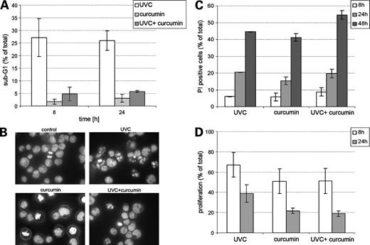 Figure 1. DNA fragmentation (A), chromatin condensation (B), viability index (C), and proliferation index (D) of Jurkat cells treated with curcumin, UVC irradiated, or treated with UVC/curcumin combination. A, DNA fragmentation was assessed by flow cytometry and sub-G1 fraction was calculated. Columns, mean from four independent experiments; bars, SD. B, chromatin condensation was observed microscopically after staining of cells with Hoechst 33258. Cell viability (C) was measured by propidium iodide assay and cell proliferation (D) by 3-(4,5-dimethylthiazol-2-yl)-2,5-diphenyltetrazolium bromide assay. Values are in relation to untreated control. Columns, mean from four independent experiments; bars, SD.