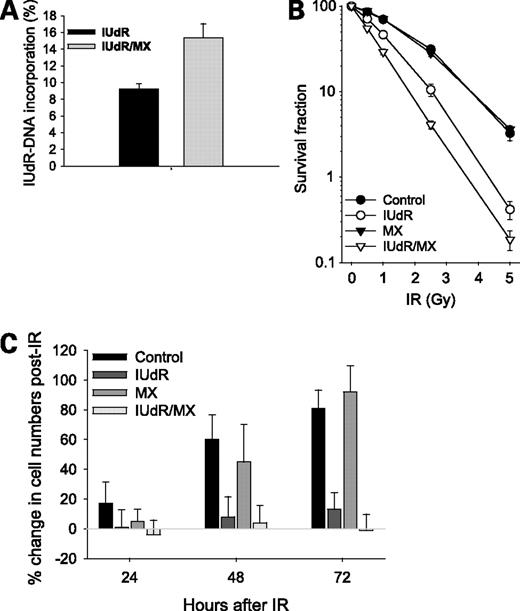 Figure 1. Methoxyamine (MX) enhances IUdR-DNA incorporation and potentiates IUdR-induced radiosensitization in RKO cells. A, IUdR-DNA incorporation as a percentage of replacement of the total thymidine in DNA. Cells were treated with IUdR (3 μmol/L) or IUdR (3 μmol/L)/methoxyamine (3 mmol/L) for 48 h. B, clonogenic survival. Cells were pretreated with IUdR (3 μmol/L), methoxyamine (3 mmol/L), or both for 48 h before ionizing radiation (IR). C, cell growth after 5 Gy ionizing radiation. Cells were exposed to drugs and ionizing radiation as above; cell numbers were then counted daily. Cell number changes as a percentage of viable cells over the cell numbers before ionizing radiation, respectively.