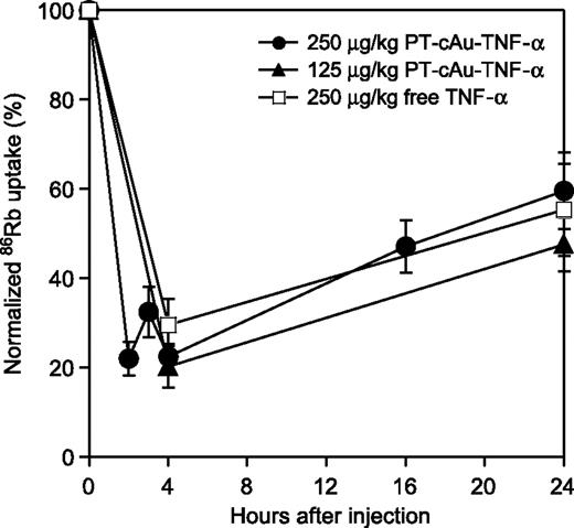 Figure 6. Uptake of 86Rb in SCK tumors after administration of PT-cAu-TNF-α or free TNF-α. Points, normalized mean of five to seven individual tumors; bars, SE. Uptake of 86Rb 2, 3, 4, 16, and 24 h after injection of PT-cAu-TNF-α or free TNF-α were statistically significant from control.