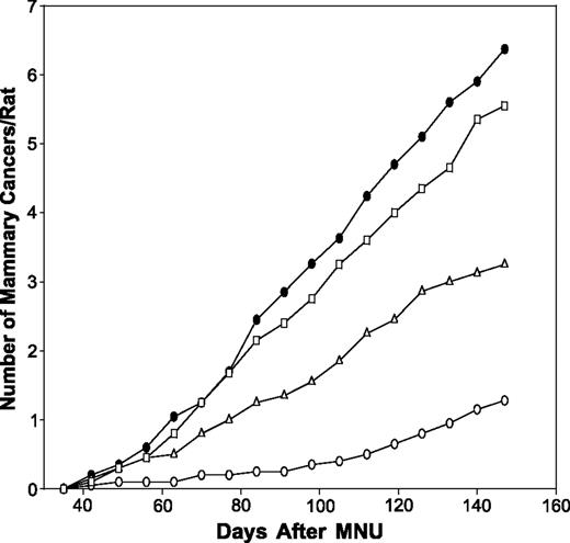 Figure 1. Effects of R115777 on prevention of methylnitrosourea-induced mammary cancers. Female Sprague-Dawley rats were given R115777 by gavage, six times a week, beginning 5 d after methylnitrosourea. The groups were comprised of: ○, R115777 (50 mg/kg body weight/d); ▵, R115777 (16 mg/kg body weight/d); □, R115777 (5 mg/kg body weight/d); •, vehicle.