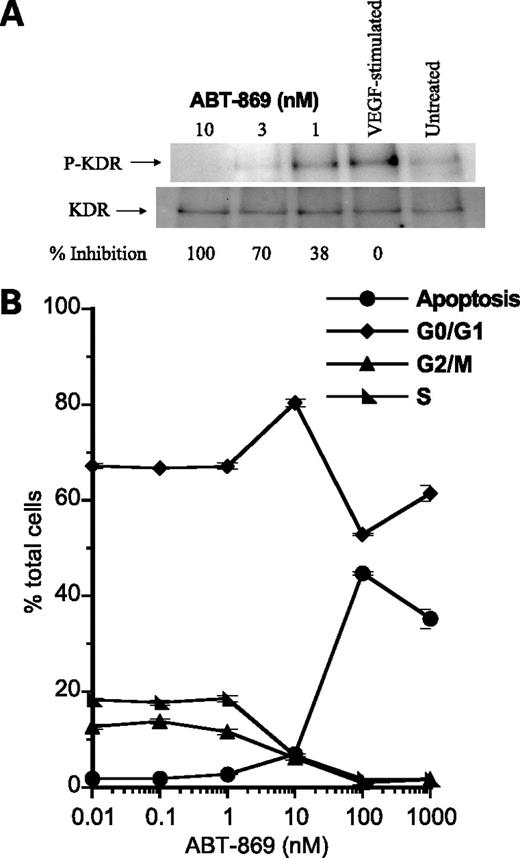 Figure 2. Inhibition of cellular responses with ABT-869. A, VEGF-stimulated KDR phosphorylation in HUAECs. Cells were exposed to 50 ng/mL VEGF and incubated with inhibitor for 20 min. B, cell cycle effects of ABT-869 on MV4-11 cells. Cells were incubated with ABT-869 at the indicated concentration for 72 h before cell cycle analysis.