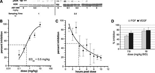 Figure 3. Inhibition of VEGF-mediated responses in vivo. A, VEGF-induced KDR phosphorylation. ABT-869 was administered (orally) at the indicated dose either 1 h (left) or 3.5 h (right) before i.v. challenge with VEGF (3 μg). B, VEGF-induced uterine edema. Mice (six per group) were given ABT-869 at the indicated dose (orally) and challenged with estradiol 30 min later. Edema was assessed 2 h after dosing. Points, mean percent inhibition; bars, SE. Mean uterine weights: control, 92 ± 7 μg; estradiol, 167 ± 3 μg. Values >30% were significantly different (P < 0.05) from control. C, duration of inhibition of uterine edema following administration of ABT-869. Mice were given ABT-869 (5 mg/kg, orally) and challenged with estradiol at the indicated times thereafter. Uterine edema was assessed as described in the text. Mean uterine weights: control, 94 ± 4 μg; estradiol, 152 ± 6 μg. Values >30% were significantly different (P < 0.05) from control. D, growth factor–induced murine cornea angiogenesis. Columns, mean inhibition (n = 6 per group); bars, SE. Control (vehicle) area (pixels): bFGF, 310,738 ± 20,383; VEGF, 334,653 ± 18,060. P < 0.001, compared with vehicle treated for each drug treatment group.