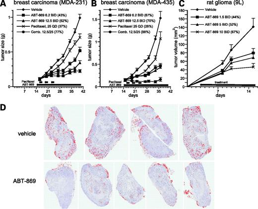 Figure 5. Activity in orthotopic tumor models. Effects of ABT-869 on the growth of human breast carcinoma MDA-231 (A) and MDA-435LM (B) cells implanted orthotopically in severe combined immunodeficient mice. Oral dosing of ABT-869 began on day 16 (10 per group). Paclitaxel was given i.p. on days 16, 20, and 24. C, rat glioma. Oral administration (bid) started on day 3 (12 per group). Dose (mg/kg bid) and percent inhibition of control (based on day 38 and 34, respectively). Significant differences (P < 0.05 versus control) in mean tumor volume were observed for all treatment groups by study end. D, CD31 staining of sections of MDA-231 tumors prepared from mice receiving either vehicle (n = 4) or ABT-869 (n = 5, 12.5 mg/kg bid, 3.5 d).