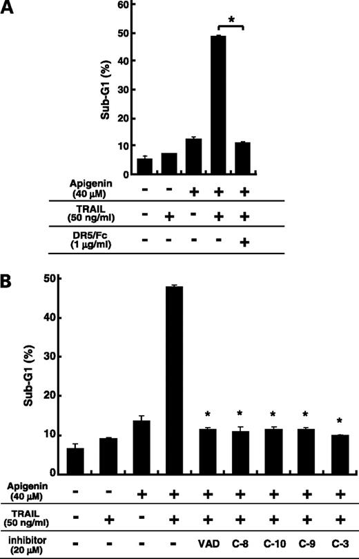 Figure 4. DR5/Fc chimera and caspase inhibitors block apoptosis enhanced by the combination of apigenin and TRAIL. A, Jurkat cells were treated with 40 μmol/L of apigenin for 24 h, followed by treatment with or without 50 ng/mL of TRAIL, and/or 1 μg/mL of DR5/Fc for another 12 h. B, Jurkat cells were treated with 40 μmol/L of apigenin for 24 h, followed by treatment with or without 50 ng/mL of TRAIL, and/or various inhibitors for another 12 h. VAD, treated with zVAD-fmk pan-caspase inhibitor; C-8, treated with zIETD-fmk caspase-8 inhibitor; C-9, treated with zLEHD-fmk caspase-9 inhibitor; C-10, treated with zAEVD-fmk caspase-10 inhibitor; C-3, treated with zDEVD-fmk caspase-3 inhibitor. All caspase inhibitors were applied at 20 μmol/L. Sub-G1 populations were detected using flow cytometry as described in Materials and Methods. Columns, mean; bars, ±SD (n = 3); *, P < 0.01. Apigenin treatment (−), DMSO only.