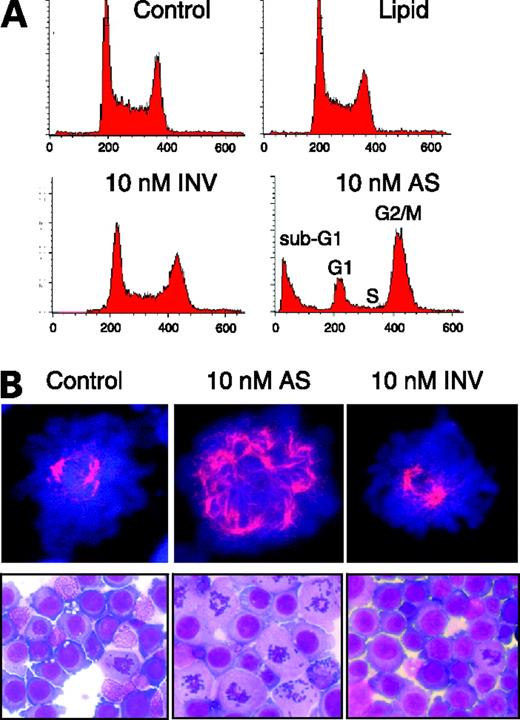 Figure 3. Depletion of Plk1 mRNA results in the induction of severe mitotic perturbations along with the occurrence of multiple spindles and randomly distributed chromosomes within affected cells. A, RKO cells were transfected with 10 nmol/L Plk1 chimeric antisense molecules or with the inverted control sequence as indicated. Control cells were either left untreated or treated with the transfection reagent only as indicated. Twenty-four hours later, the cells were subjected to a cell cycle analysis by flow cytometry as described in Materials and Methods. B, aliquots from the same transfection were fixed and either stained with antibodies against α-tubulin to visualize spindle poles by confocal microscopy (top row) or stained with methylene blue/eosin to visualize mitotic cells (bottom row).