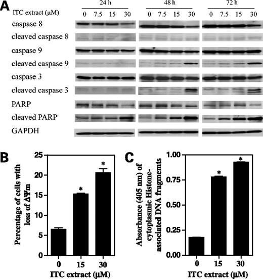 Figure 4. Activation of mitochondria apoptosis pathway by broccoli sprout isothiocyanate extract. UM-UC-3 cells (1.5 × 106 per plate) were grown in 10 cm plates with 10 mL medium for 24 h and were then treated with freeze-dried broccoli sprout isothiocyanate extract at the indicated isothiocyanate concentrations for 24, 48, or 72 h. At the end of treatment, cells were harvested for various analyses. A, detection of cleavage of caspase-3, caspase-8, caspase-9, and poly(ADP-ribose)polymerase by Western blot, using glyceraldehyde-3-phosphate dehydrogenase (GAPDH) as a loading control. B, measurement of ΔΨm by flow cytometry, using rhodamine 123 as a mitotracker. Cells were treated with the extract for 48 h, and 10,000 cells per sample were analyzed. C, detection of accumulation of cytoplasmic histone-associated DNA fragments by an ELISA kit. Cells were treated with broccoli sprout isothiocyanate extract for 48 h before analysis. Columns, mean (n = 3); bars, SD.