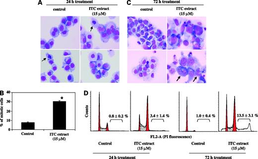 Figure 7. Arrest in mitosis by broccoli sprout isothiocyanate (ITC) extracts. UM-UC-3 cells were seeded in 10 cm plates and grown for 24 h before exposure to either vehicle or freeze-dried broccoli sprout isothiocyanate extract at 15 μmol isothiocyanate per liter for 24 or 72 h. A and C, cells were stained with a Wright-Giemsa solution and cell morphologies were examined under a light microscope (magnification, ×1,000). Arrows, mitotic cell (A) or a giant cell with a large nucleus or multiple nuclei (C). B, the percentage of mitotic figures was determined by analyzing a minimum of 150 cells in at least 20 fields per slide; only cells that were treated with the extract or vehicle for 24 h were analyzed. D, analysis of cell cycle distribution by flow cytometry (10,000 cells per sample). PI, propidium iodide.