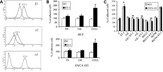 Figure 1. A, ET-1 up-regulates α2, α3, and β1 integrin expression in ovarian cancer cells. Serum-starved HEY cells were treated with ET-1 (100 nmol/L) and analyzed by FACS analysis for the expression of α2, α3, and β1 integrin subunits. B, ET-1 promotes adhesion of ovarian cancer cells on type I collagen. Serum-starved HEY and OVCA 433 cells were treated with ET-1 for 24 h and then plated in plates precoated with fibronectin (FN; 25 μg/mL), or laminin (LM; 50 μg/mL), or type I collagen (COLL; 10 μg/mL) and analyzed for cell adhesion. Columns, mean of three independent experiments each done in sextuplicate; bars, ±SD; *, P ≤ 0.005 compared with control. C, ET-1/ETAR-dependent cell adhesion is mediated by α2β1 and α3β1 integrins. Serum-starved HEY and OVCA 433 cells were treated with ET-1 (100 nmol/L) in the absence or in the presence of BQ 123 (1 μmol/L) or BQ 788 (1 μmol/L) for 24 h and analyzed for cell adhesion on type I collagen. As indicated, cells were preincubated with anti-α2β1 and anti-α3β1 integrin antibodies before the plating. Columns, mean of three independent experiments each done in sextuplicate; bars, ±SD; *; P ≤ 0.0001 compared with untreated cells (control, C); **, P ≤ 0.005 compared with ET-1 alone.
