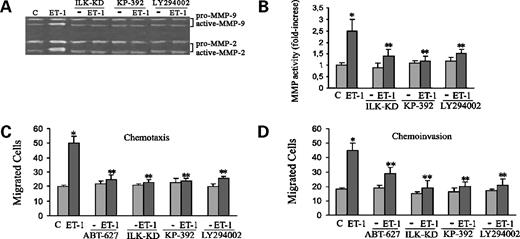 Figure 5. Effect of ET-1-induced ILK signaling on MMP secretion and activation in ovarian carcinoma cell lines. Enzymatic activity of MMP-2 and MMP-9 was studied by SDS-PAGE gelatin zymography in conditioned media from ovarian cancer cells (A) or MMP gelatinase activity assay kit (B). Serum-starved cells transfected with ILK-KD or treated with KP-392 (10 μmol/L) or LY294002 (25 μmol/L). MMP gelatinase activities were measured in conditioned media of HEY cells treated with ET-1 (100 nmol/L) for 24 h. Columns, mean of results from three experiments each done in duplicate; bars, ±SD; *, P < 0.005 compared with control; **, P < 0.001 compared with ET-1. ET-1-induced cell migration (C) and invasion (D) involves the ILK-dependent PI3K pathway. Serum-starved HEY cells (5 × 105 cells/mL) untreated or transfected with ILK-KD or treated with ABT-627 (1 μmol/L), KP-392 (10 nmol/L), or LY294002 (25 μmol/L) were seeded on a 48-well Boyden chamber for 4 and 6 h for migration and invasion assays, respectively. ET-1 and/or inhibitors were added in the lower wells. Columns, mean of three independent experiments each done in triplicate; bars, ±SD; *, P ≤ 0.001 compared with control; **, P ≤ 0.01 compared with ET-1.