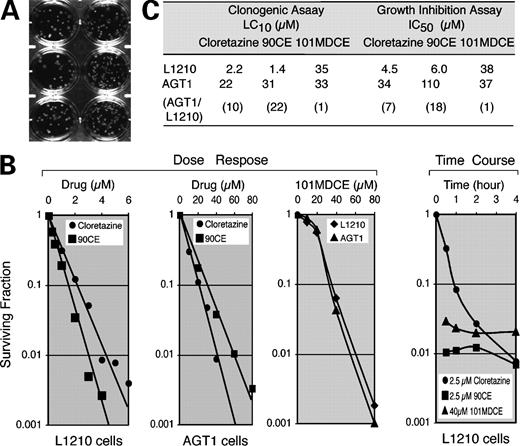 Figure 2. Survival of L1210 and AGT1 cells exposed to various sulfonylhydrazines using clonogenic assays. A, colonies of L1210 cells plated at 27 and 81 cells/well for the left and right rows, respectively, and incubated for 8 d. B, dose-response curves of cloretazine, 90CE, and 101MDCE in L1210 and AGT1 cells incubated with each sufonylhydrazine for 2 h (left). Time course of cell kill by cloretazine, 90CE, and 101MDCE in L1210 cells (right). The data from a representative experiment are shown; measurements were repeated at least twice with similar results. C, comparison of LD10 values from clonogenic assays with IC50 values from growth inhibition assays (the latter data from ref. 9).