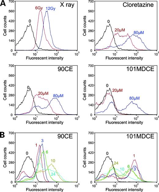 Figure 5. Induction of γH2AX by sulfonylhydrazine prodrugs in L1210 cells. A, cells were treated with sulfonylhydrazines for 12 h, fixed, stained with anti–phosphohistone H2AX antibody, and analyzed by flow cytometry. Cells irradiated at doses of 6 and 12 Gy and incubated for 1 h at 37°C were used as positive controls. B, time course (0–24 h) of γH2AX staining in cells exposed to 90CE and 101MDCE at concentrations of 50 and 80 μmol/L, respectively.