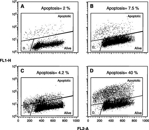 Figure 3. Percentage of WiDr apoptotic cells in untreated samples (A), after treatment with oxaliplatin (8 μmol/L; B), NCX 4040 (10 μmol/L; (C), and sequential NCX 4040→ oxaliplatin (D).