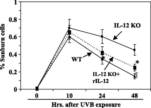 Figure 5. UVB-induced increases in apoptotic sunburn cells in the epidermis of WT mice removes more rapidly than in IL-12 KO mice. The WT or IL-12 KO mice were exposed to UVB (60 mJ/cm2) on the shaved back. In one group, IL-12 KO mice were injected with 1,000 ng/mouse of recombinant IL-12 s.c. to the UVB-irradiated skin site 3 h before UVB irradiation. The animals were sacrificed at the indicated time points after UV irradiation and skin samples were collected. Morphologically distinct apoptotic sunburn cells in the epidermis were counted in H&E-stained sections. Points, mean percentage of sunburn cells (n = 5); bars, SD. *, P < 0.01; ¶, P < 0.005, significant reduction versus IL-12 KO mice.
