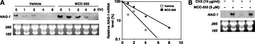 Figure 4. MCC-555 delays NAG-1 mRNA degradation by RNA synthase inhibitor. A, HCT-116 cells were incubated for 24 h with vehicle or MCC-555 at a concentration of 5 μmol/L and subsequently treated with actinomycin D (5 μg/mL). At the indicated times, total RNA was isolated and 20 or 10 μg of total RNA from vehicle- or MCC-555-treated cells were loaded on 1.2% agarose gel, respectively. The levels of NAG-1 mRNA were analyzed by Northern blot analysis with a biotin-labeled probe for human NAG-1. Ethidium bromide staining of the rRNA is shown to allow comparison of the RNA amounts loaded. Hybridization signals were quantitated with the Scion Image Program. The relative level of NAG-1 mRNA was calculated and the results were plotted as the percentage of the mRNA level present at time 0 of actinomycin D treatment. B, HCT-116 cells were pretreated with cycloheximide (CHX; 10 μg/mL) for 30 min before the addition of vehicle or MCC-555 (5 μmol/L). After 24 h, total RNA was isolated and the expression of NAG-1 was analyzed by Northern blot analysis.